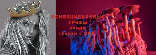 стафф Баксан