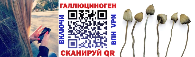 купить наркотик  Великий Устюг  Галлюциногенные грибы GOLDEN TEACHER 